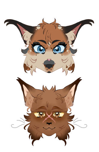 Warrior cats